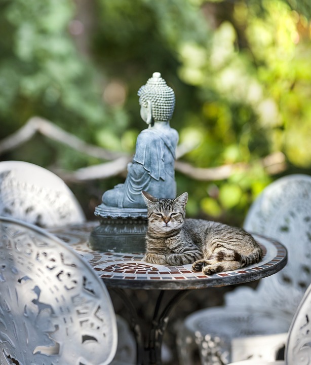 Feng shui animal symbolism